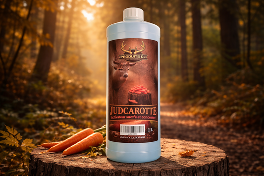 JUDCAROTTE