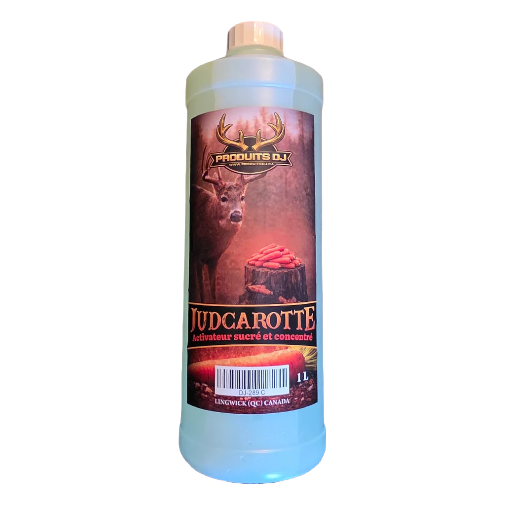 JUDCAROTTE