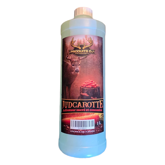 JUDCAROTTE